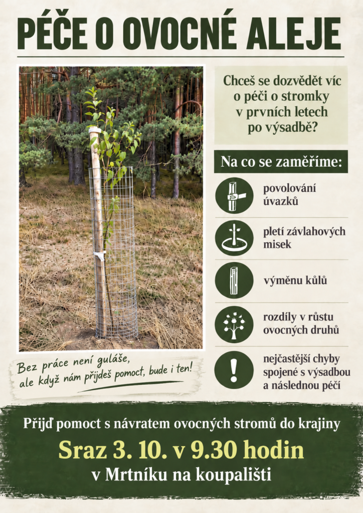 plakát